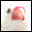 鳥といっしょ